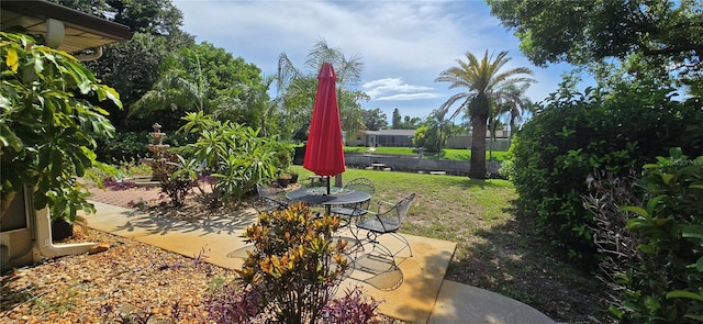 10211 Oleander Dr, Port Richey, FL 34668 - photo 39