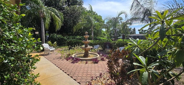 10211 Oleander Dr, Port Richey, FL 34668 - photo 41