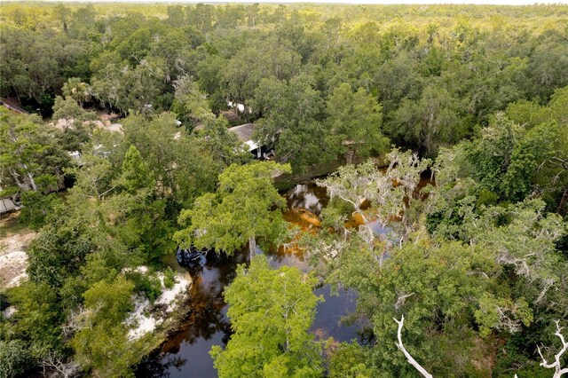 6410 Amelia Ln, Dade City, FL 33523 - photo 47
