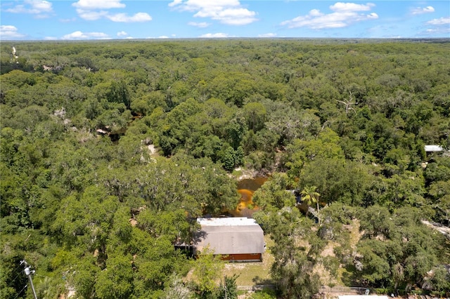 6410 Amelia Ln, Dade City, FL 33523 - photo 52