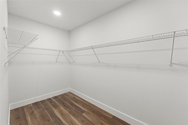 8782 N Sandree Dr, Citrus Springs, FL 34434 - spacious closet featuring dark wood-style flooring