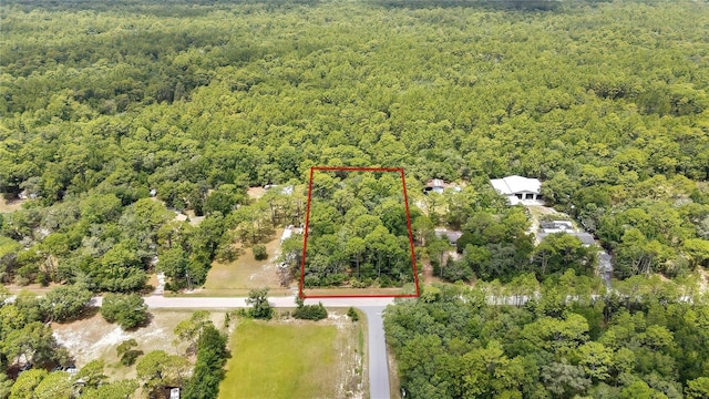 1672 S Colonial Ave, Homosassa, FL 34448 - photo 1