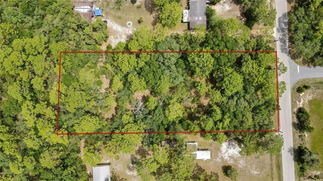 1672 S Colonial Ave, Homosassa, FL 34448 - photo 4
