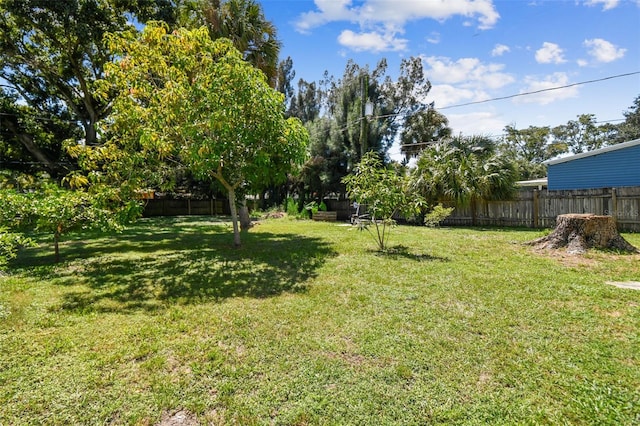 4007 S Renellie Dr, Tampa, FL 33611 - photo 9