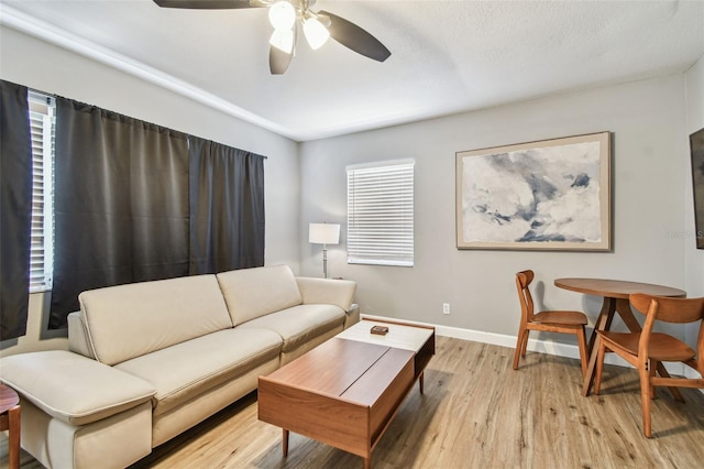 4007 S Renellie Dr, Tampa, FL 33611 - photo 15