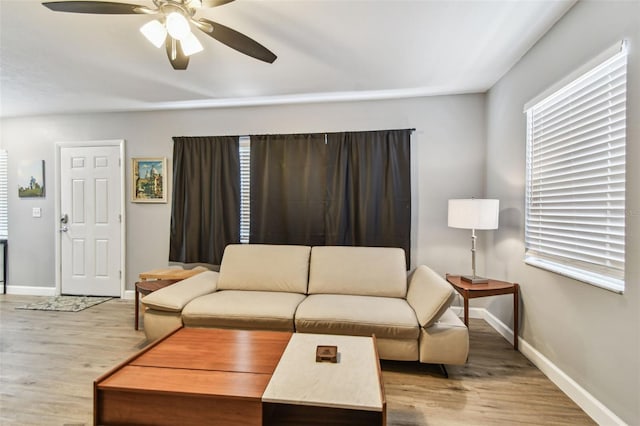 4007 S Renellie Dr, Tampa, FL 33611 - photo 16