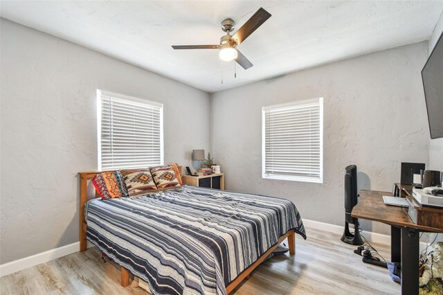 4007 S Renellie Dr, Tampa, FL 33611 - photo 42