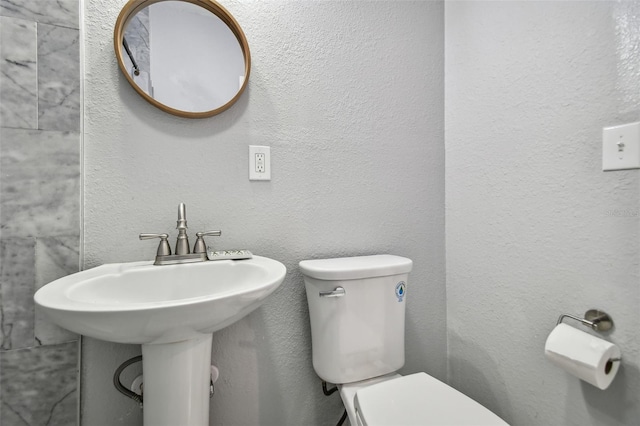 4007 S Renellie Dr, Tampa, FL 33611 - photo 49