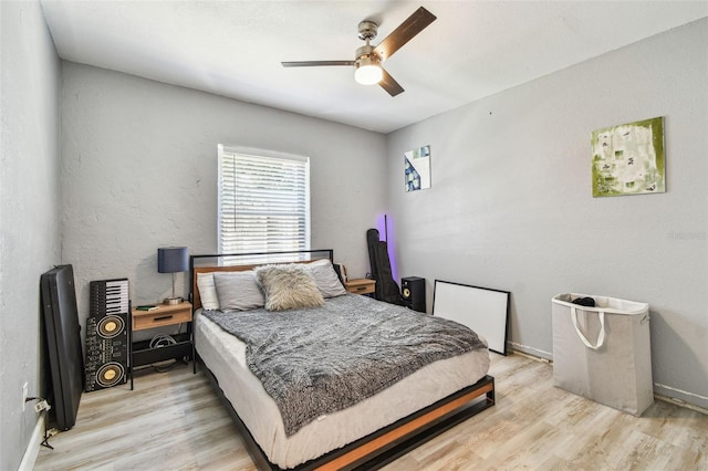 4007 S Renellie Dr, Tampa, FL 33611 - photo 50
