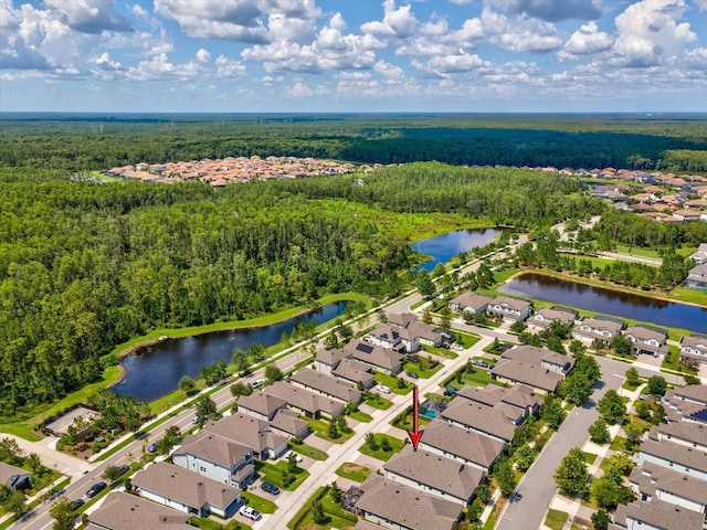 3897 Villamore Ln, Odessa, FL 33556 - photo 49