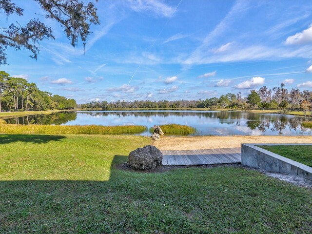 3897 Villamore Ln, Odessa, FL 33556 - photo 64