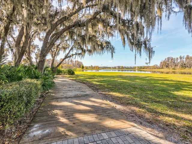 3897 Villamore Ln, Odessa, FL 33556 - photo 67