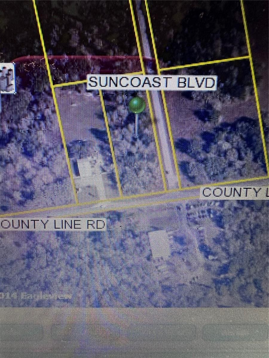 0 County Line Rd, Spring Hill, FL 34608 - photo 1