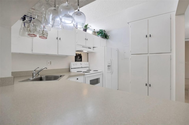 3134 Lake Pine Way Unit F2, Tarpon Springs, FL 34688 - kitchen with white appliances, under cabinet range hood, light countertops, and white cabinetry