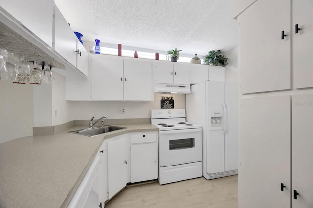 3134 Lake Pine Way Unit F2, Tarpon Springs, FL 34688 - kitchen featuring white appliances, under cabinet range hood, light wood finished floors, white cabinets, and a textured ceiling