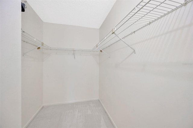 3134 Lake Pine Way Unit F2, Tarpon Springs, FL 34688 - walk in closet with light carpet