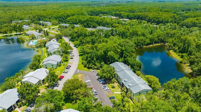3134 Lake Pine Way Unit F2, Tarpon Springs, FL 34688 - drone / aerial view of a large body of water