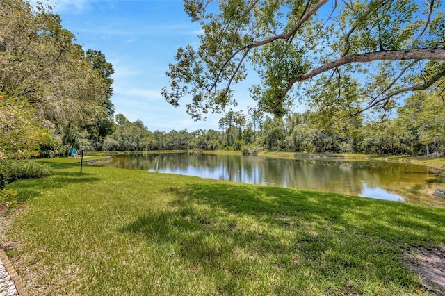 3134 Lake Pine Way Unit F2, Tarpon Springs, FL 34688 - water view featuring a forest