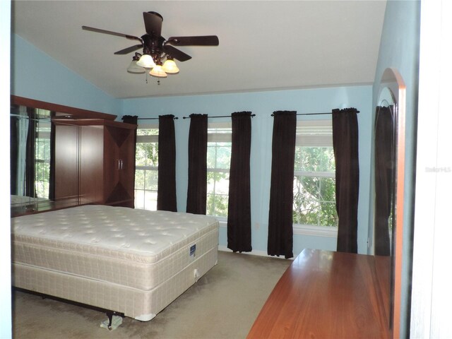 7650 Red Mill Cir, New Port Richey, FL 34653 - photo 13