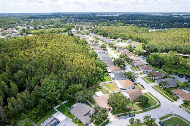 29108 Crossland Dr, Wesley Chapel, FL 33543 - photo 24