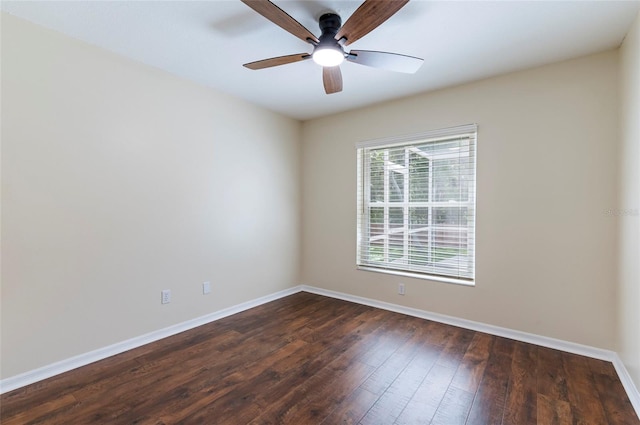 29108 Crossland Dr, Wesley Chapel, FL 33543 - photo 17