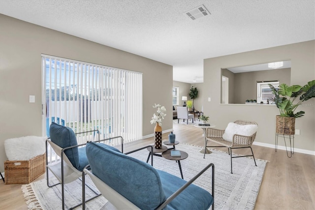 2954 Leisure Ct, Dunedin, FL 34698 - living room featuring light wood-type flooring, plenty of natural light, and a textured ceiling