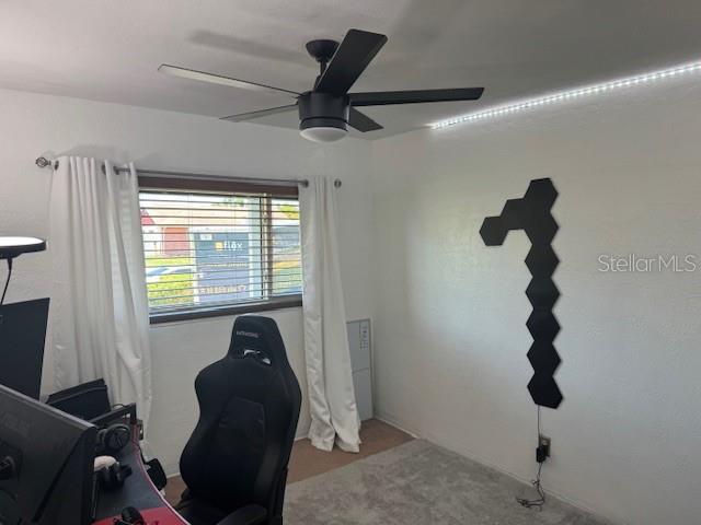 4027 31st Ave N, Saint Petersburg, FL 33713 - photo 27