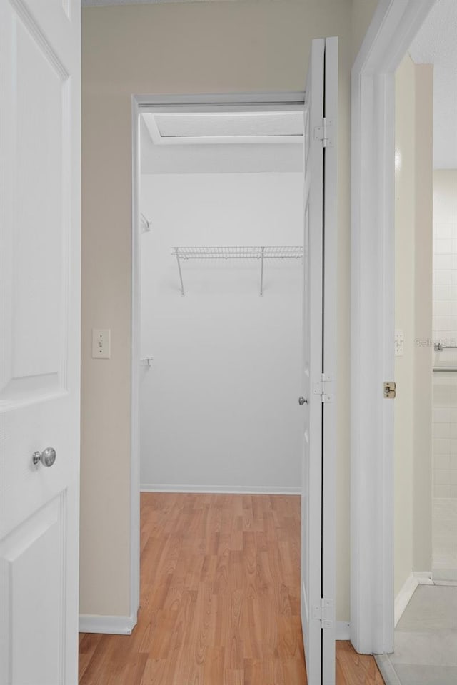 7445 Nature Walk Dr, Spring Hill, FL 34606 - walk in closet with light wood-style flooring