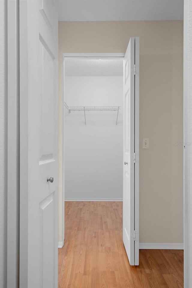 7445 Nature Walk Dr, Spring Hill, FL 34606 - walk in closet with light wood-type flooring