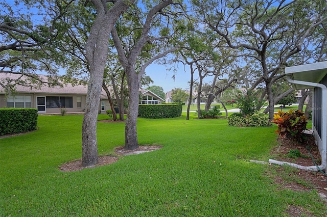 7445 Nature Walk Dr, Spring Hill, FL 34606 - view of grassy yard