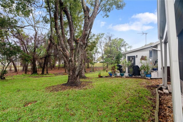 11725 Spring Tree Ln, Port Richey, FL 34668 - photo 24