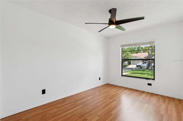 11725 Spring Tree Ln, Port Richey, FL 34668 - photo 12