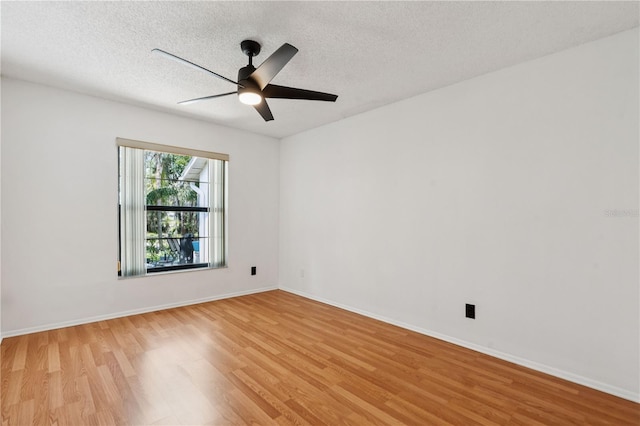 11725 Spring Tree Ln, Port Richey, FL 34668 - photo 17