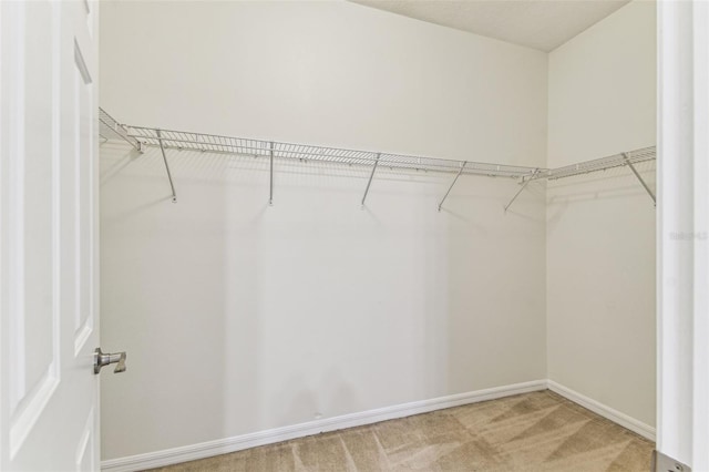 9420 Georgian Park Ln Unit 106, Tampa, FL 33626 - photo 16