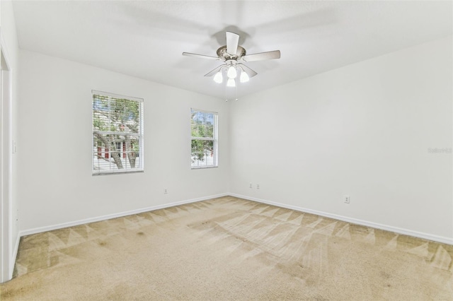 9420 Georgian Park Ln Unit 106, Tampa, FL 33626 - photo 15