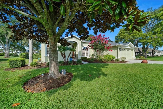 14178 Pullman Dr, Spring Hill, FL 34609 - view of front of property with a front yard, a garage, and concrete driveway