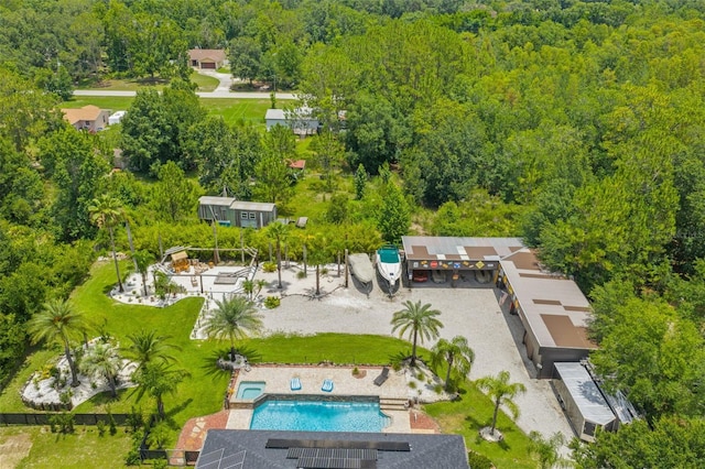 26221 Pheasant Run, Wesley Chapel, FL 33544 - bird's eye view of a heavily wooded area and a pool area