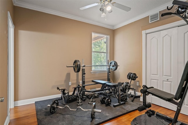 26221 Pheasant Run, Wesley Chapel, FL 33544 - workout room featuring ornamental molding, ceiling fan, and wood finished floors