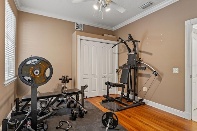 26221 Pheasant Run, Wesley Chapel, FL 33544 - exercise area featuring wood finished floors, ceiling fan, and ornamental molding