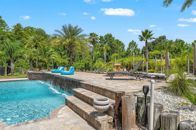 26221 Pheasant Run, Wesley Chapel, FL 33544 - swimming pool featuring view of wooded area and a patio area