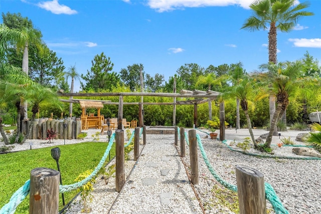 26221 Pheasant Run, Wesley Chapel, FL 33544 - view of property's community featuring a pergola