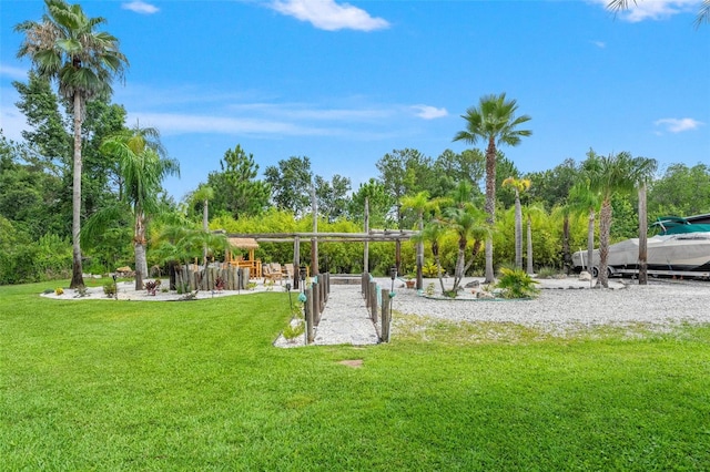 26221 Pheasant Run, Wesley Chapel, FL 33544 - view of home's community with a yard