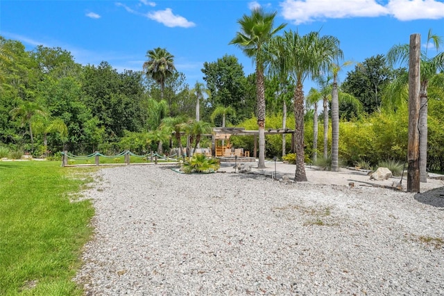 26221 Pheasant Run, Wesley Chapel, FL 33544 - view of property's community with view of scattered trees and a yard