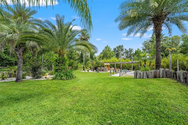26221 Pheasant Run, Wesley Chapel, FL 33544 - view of green lawn