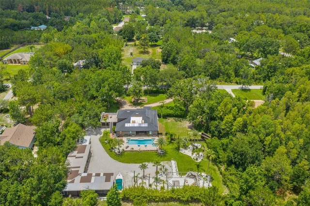 26221 Pheasant Run, Wesley Chapel, FL 33544 - bird's eye view of a forest