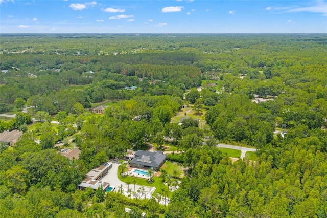 26221 Pheasant Run, Wesley Chapel, FL 33544 - bird's eye view of a forest