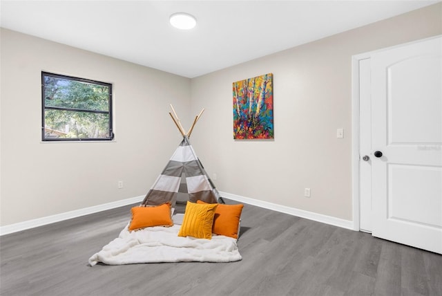 5215 Azalea Cir, Dade City, FL 33523 - recreation room with wood finished floors and baseboards