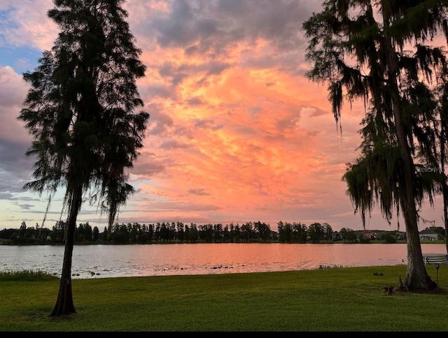 9829 Sorbonne Loop, Seffner, FL 33584 - water view