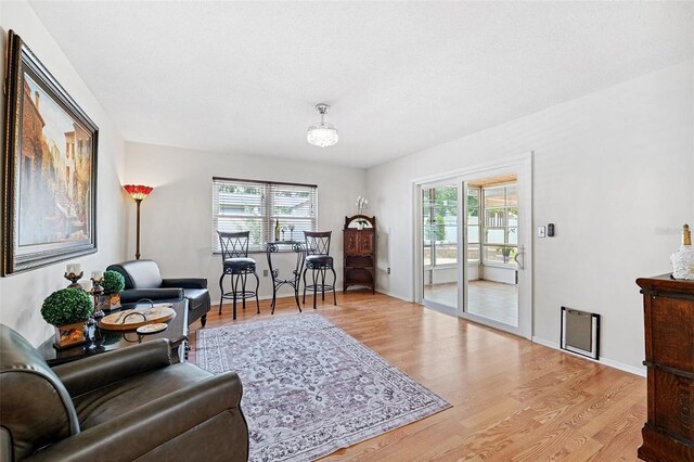 3204 Payne St, New Port Richey, FL 34655 - living room featuring healthy amount of natural light and light wood-type flooring