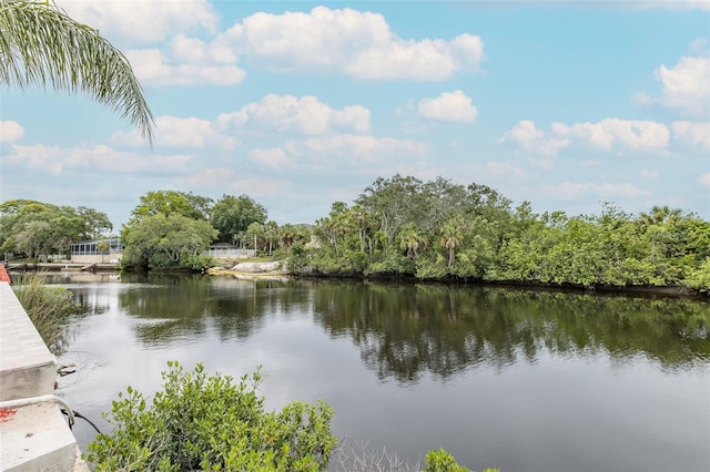 5640 Ferguson Ct Unit 2203, New Port Richey, FL 34652 - water view